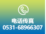 电话传真：0531-68966307